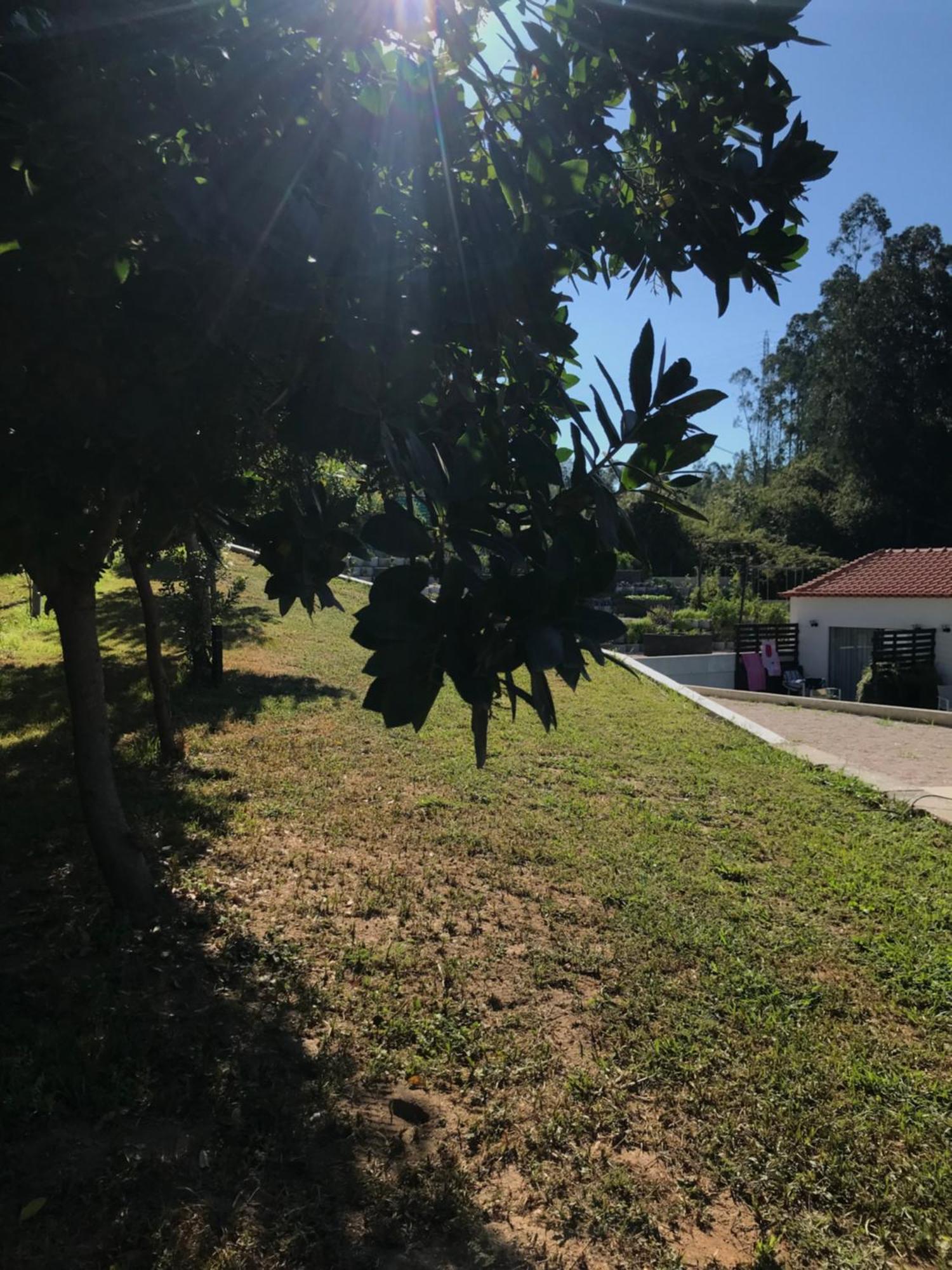 Casa Da Milheira - Agroturismo Oliveira de Azemeis Exteriör bild