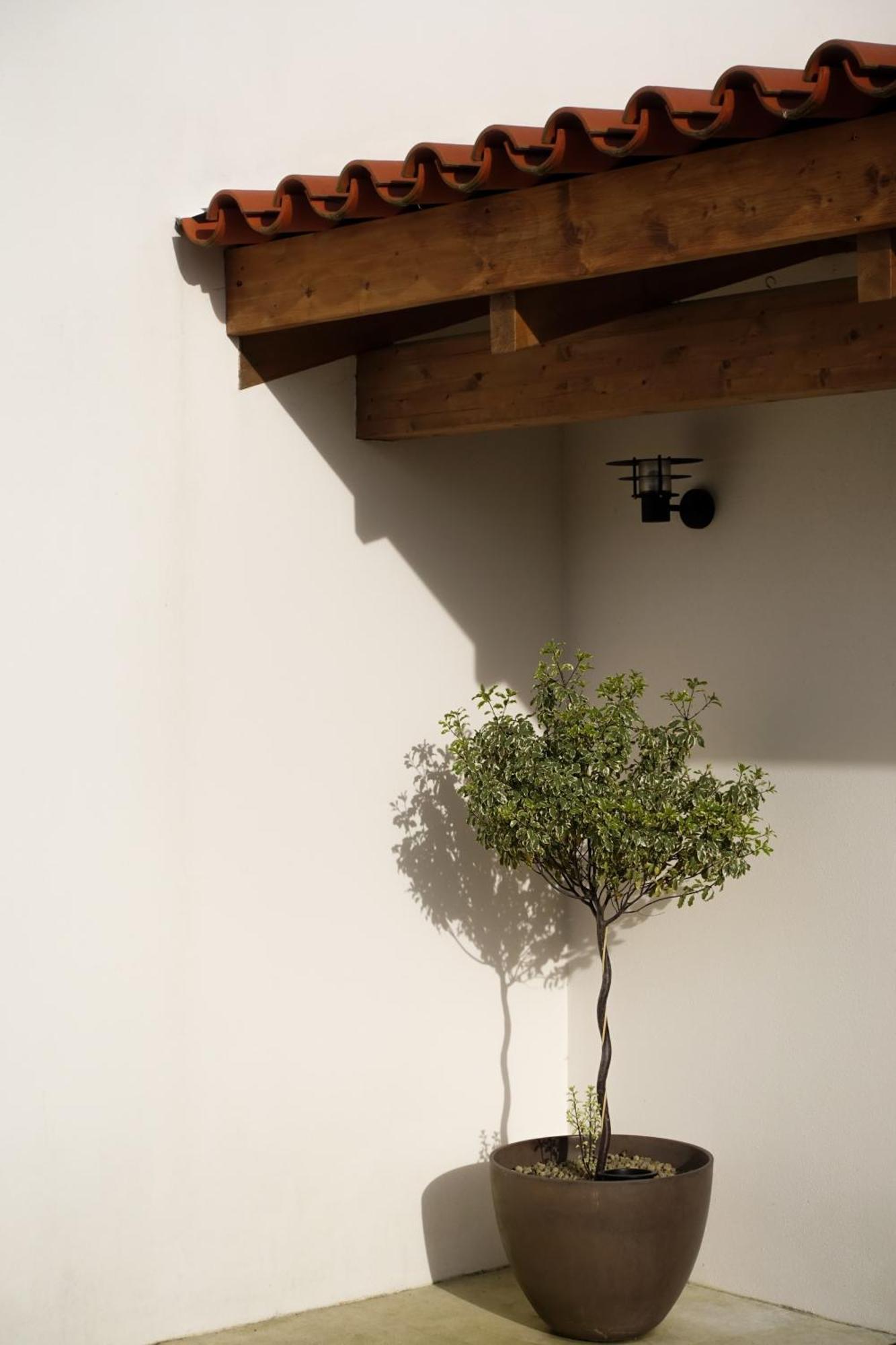 Casa Da Milheira - Agroturismo Oliveira de Azemeis Exteriör bild